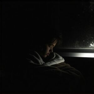 Read more about the article The Emergency Checklist: What to Do When the Heat Fails at Midnight